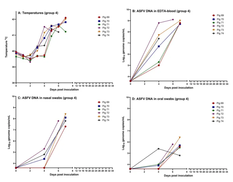 Data for the intranasally inoculated pigs (69–74)